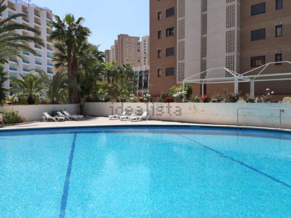 Appartement Vue Sur Mer Avenue De L'Europe Benidorm Exteriér fotografie