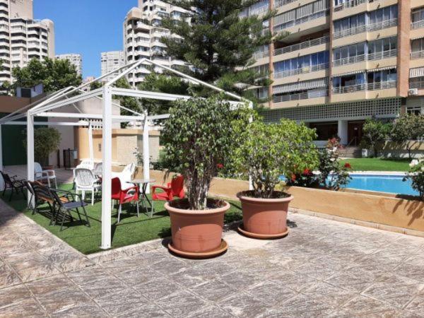 Appartement Vue Sur Mer Avenue De L'Europe Benidorm Exteriér fotografie